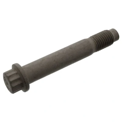 Afbeelding van Febi Bilstein Remschijfschroef 100423