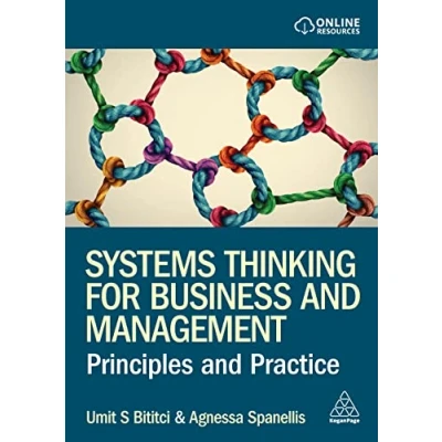 Afbeelding van Systems Thinking for Business and Management: Principles Practice