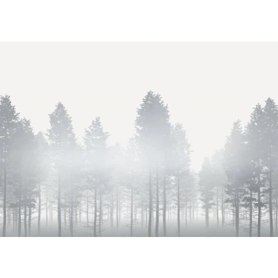 Afbeelding van Komar Raw Silver Haze RSX8 055