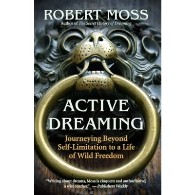 Afbeelding van Active Dreaming: Journeying Beyond Self limitation to a Life of Wild Freedom