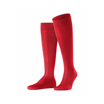 Afbeelding van FALKE Heren Kniekousen Tiago M KH Fil D&#039;Ecosse Katoen Lang eenkleurig 1 Paar, Rood (Scarlet 8228) nieuw milieuvriendelijk, 39 40