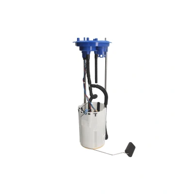 Afbeelding van Delphi Diesel Brandstof toevoermodule FG2470 12B1