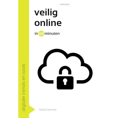 Afbeelding van Veilig online in 60 minuten (Paperback)