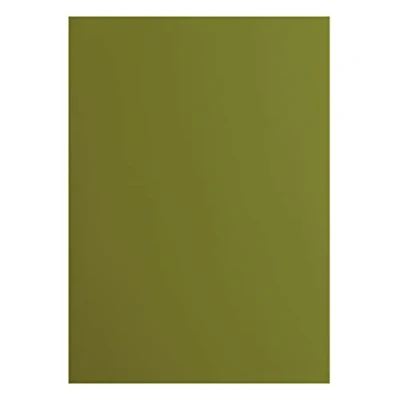 Afbeelding van Vaessen Creative 2927 073 Florence Cardstock papier, groen, 216 g/m², DIN A4, 10 stuks, glad, voor scrapbooking, kaarten maken, ponsen en andere papierknutselwerk