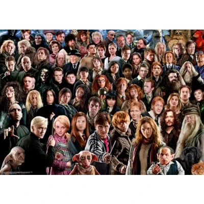 Afbeelding van Ravensburger Puzzle 1000 Teile Harry Potter 12000457 Über 70 Charaktere aus der zauberhaften Welt von Hogwarts auf einem für Erwachsene und Kinder ab 14 Jahren