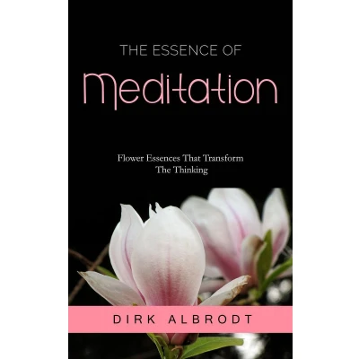 Afbeelding van The Essence of Meditation