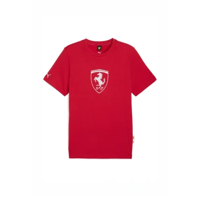 Afbeelding van Puma Tshirt print, Heren, Maat: XL, Rosso corsa