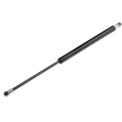 Afbeelding van Gasveer, motorkap NTY AE AR 003