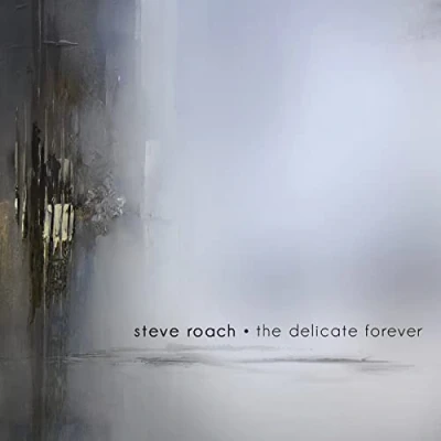 Afbeelding van Steve Roach The Delicate Forever (2 CD)