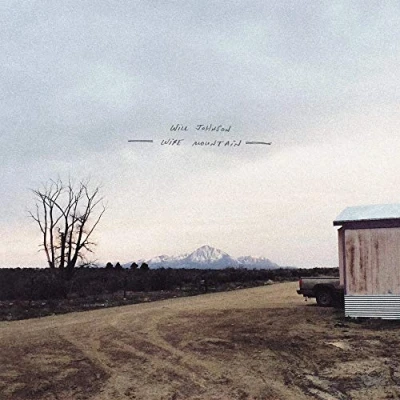 Afbeelding van Will Johnson Wire Mountain (CD)