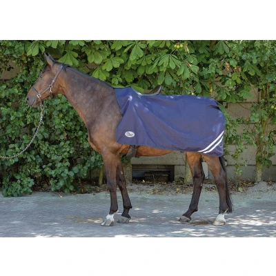 Afbeelding van Harry&#039;s Horse Uitrijdeken 0gr waterdicht met fleece voering M Kleurloos
