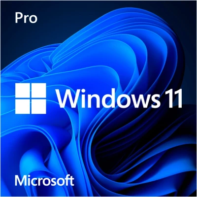 Afbeelding van Microsoft Windows 11 Pro NL OEM
