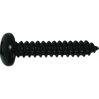 Afbeelding van Zelftappers Zwart 4.2 x 25 mm met Cilinderkop 50 Stuks