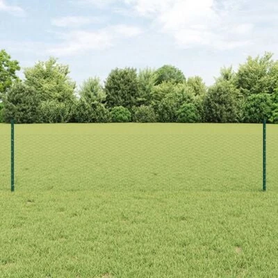 Afbeelding van vidaXL Tuinhek Set 2 Stukken Groen PVC gecoat staal 25 x 0,5 m
