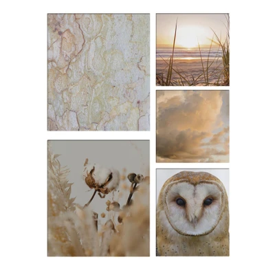 Afbeelding van Art for the Home Set van 5 canvas Natuur sepia 80x60cm