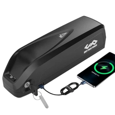 Afbeelding van Unit Pack Power e bike accu, 48 V, pedelec accu voor bikes lithium ionen, elektrische fietsaccu, motoren van 1000 W / 750 500 (48 volt en 13 Ah)