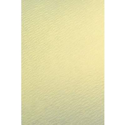 Afbeelding van Netuno 20 parel vanille 250g karton A4 210x297mm Aster Metallic Gold Ivory Sea Shell voor trouw uitnodigingskaarten