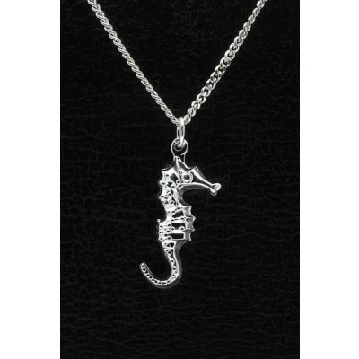 Afbeelding van Zilveren Zeepaard ketting hanger groot