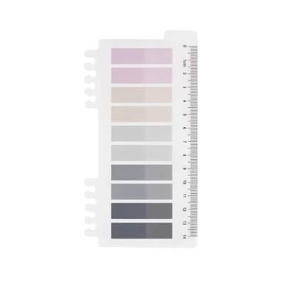 Afbeelding van 200 stuks zelfklevende notitieblaadjes, grijze stijlen, pagemarkers, zelfklevend, pastel, beschrijfbare plakstrips, plakbriefjes met liniaal voor bladwijzers, A stuk winter&#039;s vorst)