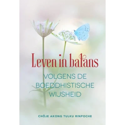 Afbeelding van Leven in balans volgens de boeddhistische wijsheid