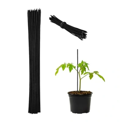Afbeelding van Relaxdays bamboestokken, set van 50, HxØ 30x0,5 cm, plantenstokken met binddraad, tuinstokken, decoratie, binnen, zwart