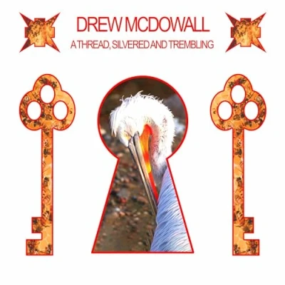 Afbeelding van Drew McDowall A Thread, Silvered and Trembling (LP)