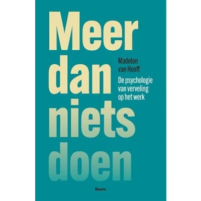 Afbeelding van Meer dan nietsdoen (Paperback)