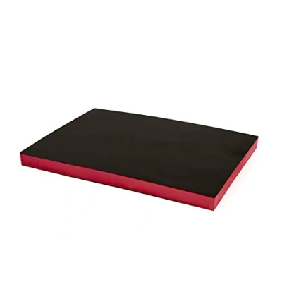 Afbeelding van HBM Foam Inlay 575 x 410 40 mm. voor Gereedschapswagen.