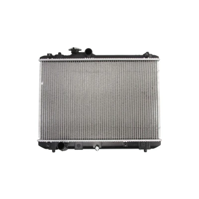 Afbeelding van Thermotec Radiateur D78010TT