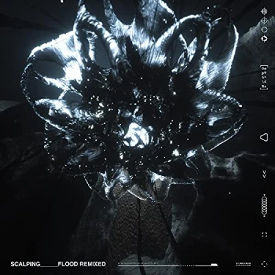 Afbeelding van Scalping Flood Remixed (Single)