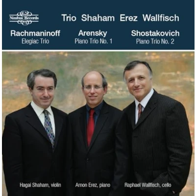 Afbeelding van Shaham, Hagai Erez, Arnon Wallfisch, Raphael Elegiac Trio; Piano Trio No. 1 ; 2 (CD)