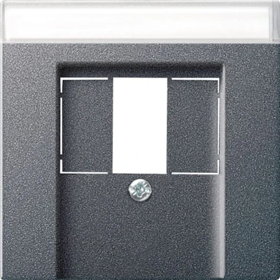 Afbeelding van Gira Systeem 55 afdekplaat voor USB met tekstkader