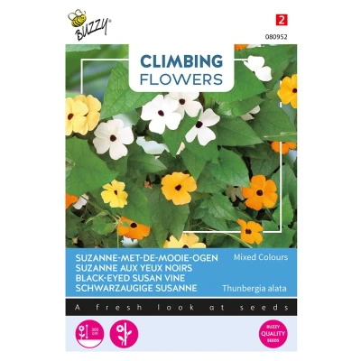 Afbeelding van Climbing Flowers Thunbergia, Suzanne met mooie ogen
