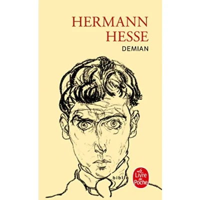 Afbeelding van Demian: Histoire de la jeunesse d&#039;Emile Sinclair