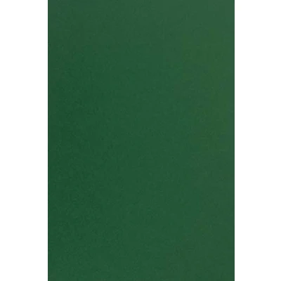 Afbeelding van Netuno 25 x gekleurd karton donkergroen DIN A4, 210 297 mm, g, Sirio Color Foglia knutselkarton, voor kerstkaarten, bruiloftskaarten