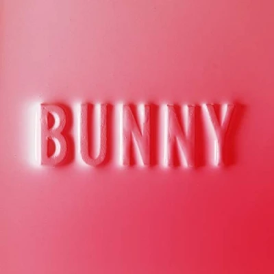 Afbeelding van Matthew Dear Bunny (CD)