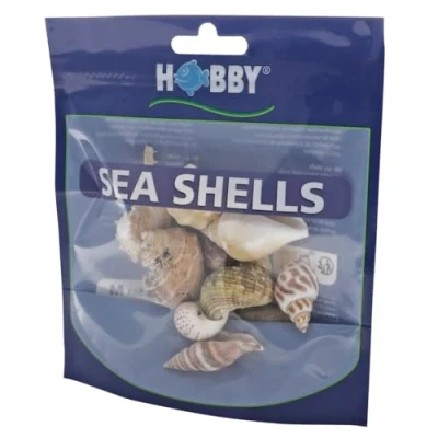 Afbeelding van Hobby Zeeschelpen Set