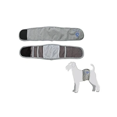 Afbeelding van Camon Plasband/ Incontinentie Band voor Reu Kleur: Grijs Maat XS: 30 34 cm