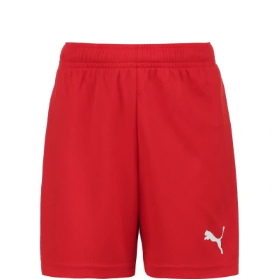 Afbeelding van Puma Teamrise Short Kinderen Rood Maat: 164
