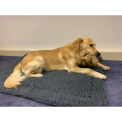 Afbeelding van Hugglehounds Fleece Mat Grijs