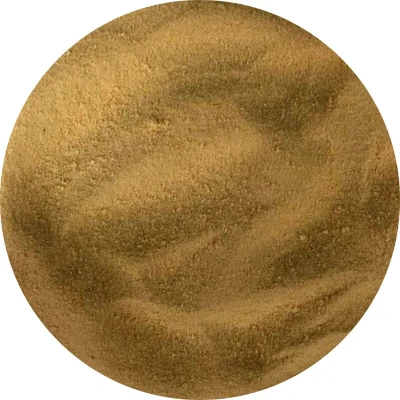 Afbeelding van Van Beekum Specerijen Gistextract 20 KG Zak (bulk verpakking)