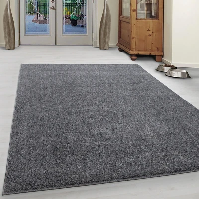 Afbeelding van Vloerkleed Ata Licht Grijs 140x200 cm Rechthoek Laagpolig Dekbed Discounter.nl