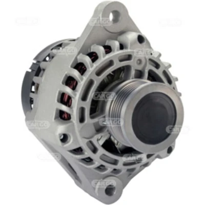 Afbeelding van Dynamo / Alternator HC CARGO 114204