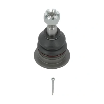 Afbeelding van Moog Fuseekogel TO BJ 8833