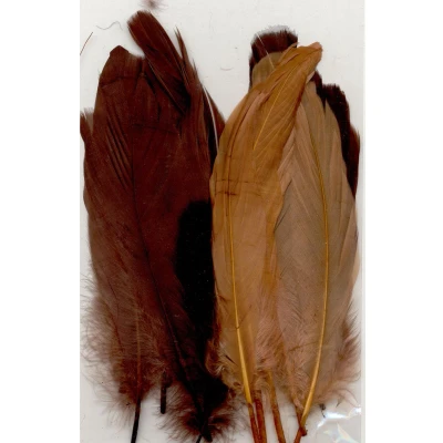 Afbeelding van Veren bruin mix 12,5 17,5 cm 15 ST