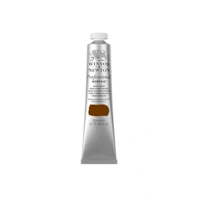 Afbeelding van Winsor &amp; Newton 2337076 Professionele acrylverf, hoge dekking, kunstenaarskwaliteit, lichtecht 200ml Tube, Burnt Umber