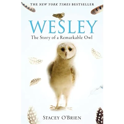 Afbeelding van Wesley: The Story of a Remarkable Owl