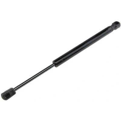 Afbeelding van Gasveer, motorkap NTY AE BM 025