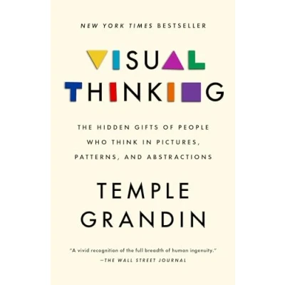 Afbeelding van Visual Thinking: The Hidden Gifts of People Who Think in Pictures, Patterns, and Abstractions