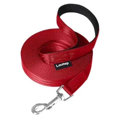 Afbeelding van Loutep Trainingslijn voor honden 3 m 5 10 15 20 25 30 sterk nylon touw extra lange lijn hondenriem met gewatteerde handgreep grote middelgrote kleine puppy terugroepactie huisdier